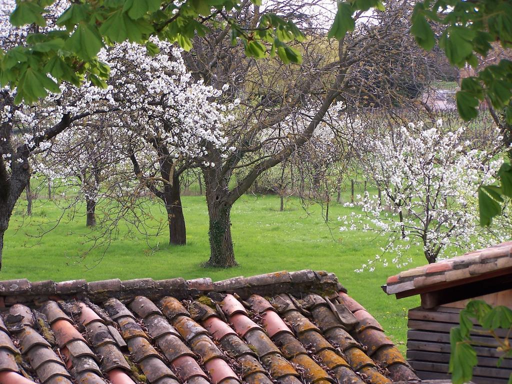 Clos De Pomeir Pension Pommiers  Buitenkant foto